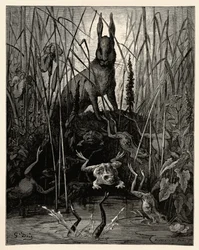 Der Hase und die Frösche
